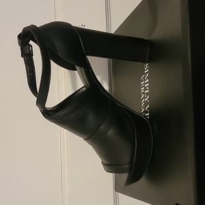 Simply Vera Vera Wang Parakeet